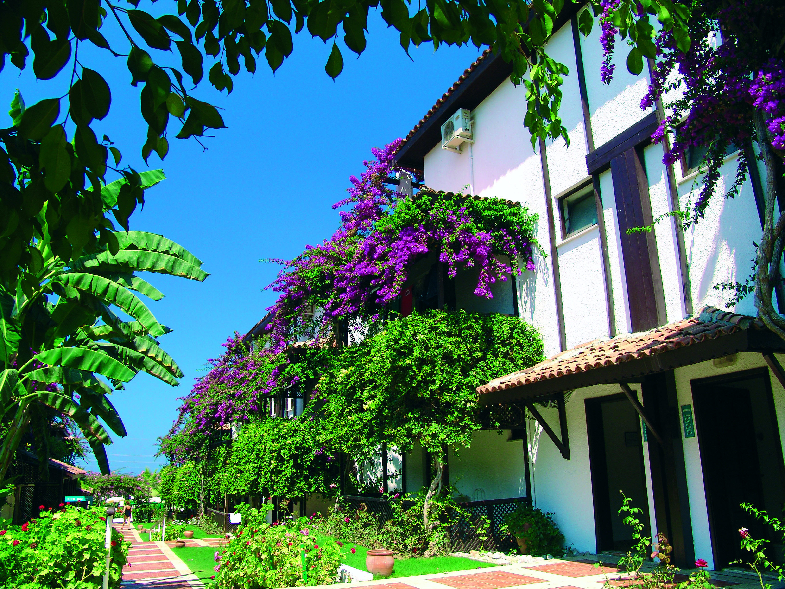 Titan Club Hotel Ultra All Inclusive Kargıcak Extérieur photo