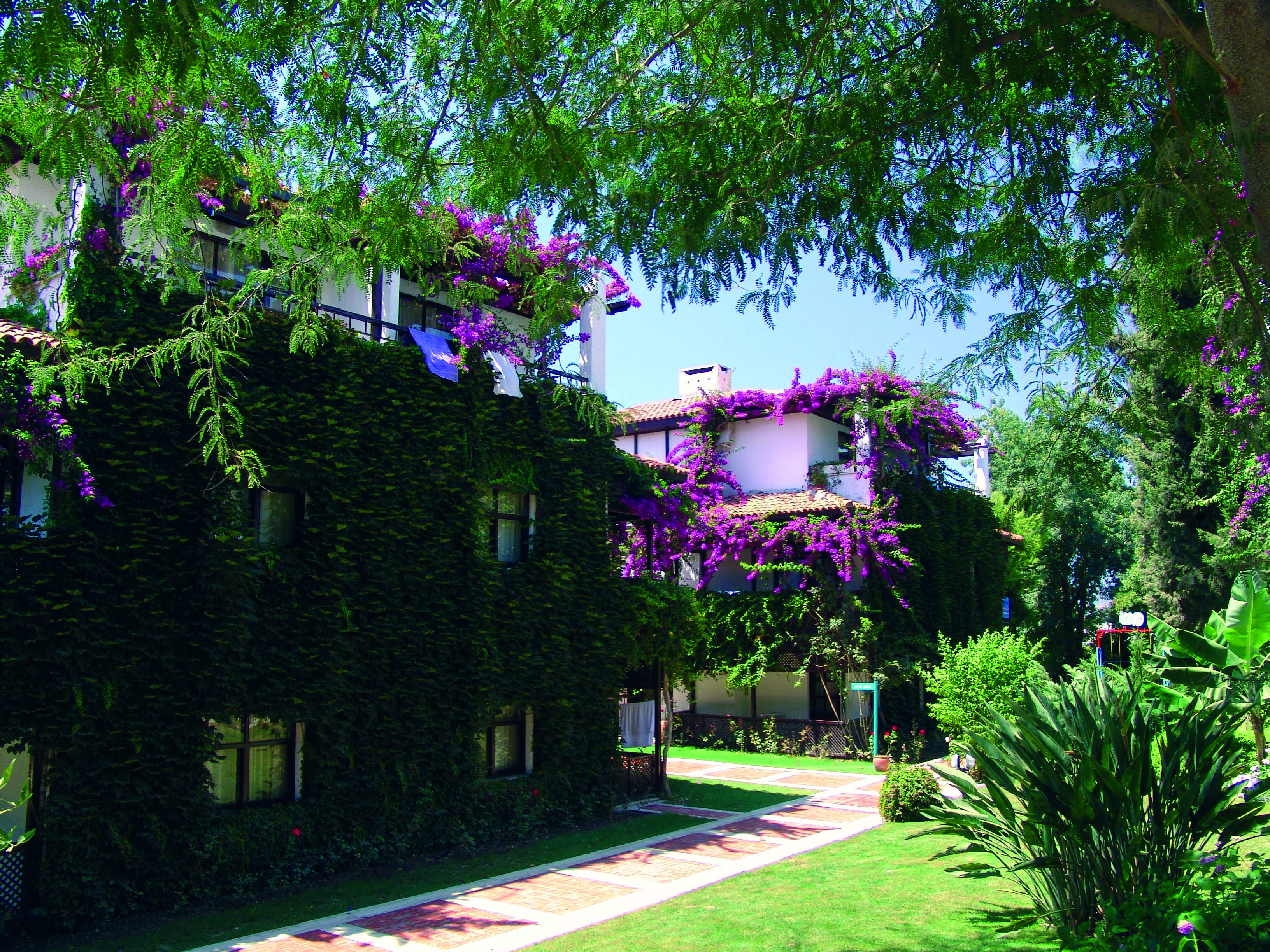 Titan Club Hotel Ultra All Inclusive Kargıcak Extérieur photo
