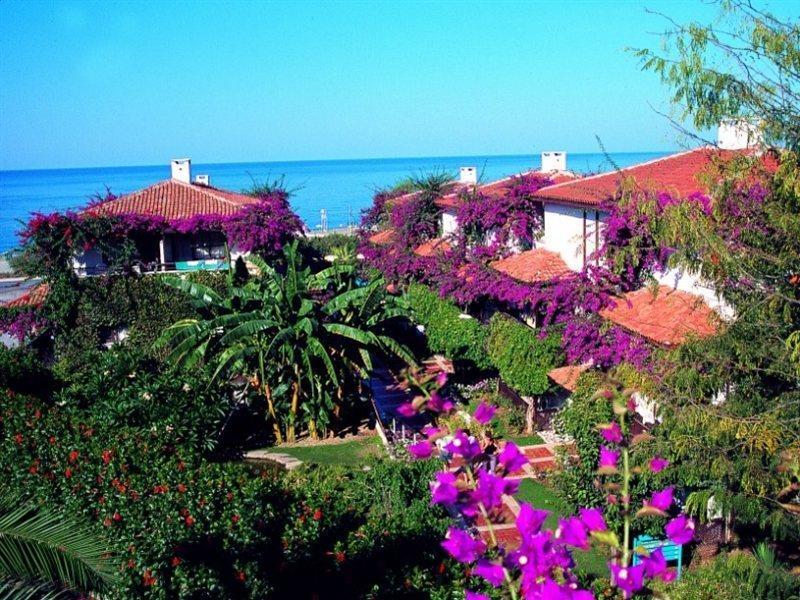 Titan Club Hotel Ultra All Inclusive Kargıcak Extérieur photo
