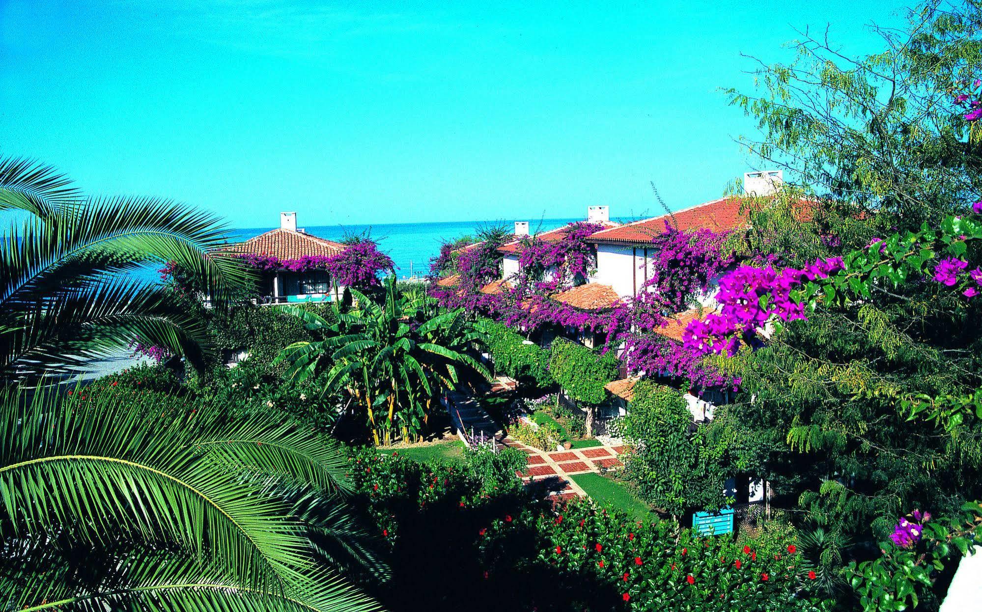 Titan Club Hotel Ultra All Inclusive Kargıcak Extérieur photo